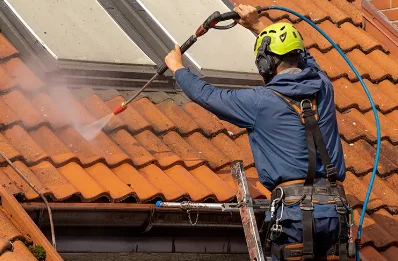 Démoussage et hydrofuge de toiture à Thénioux